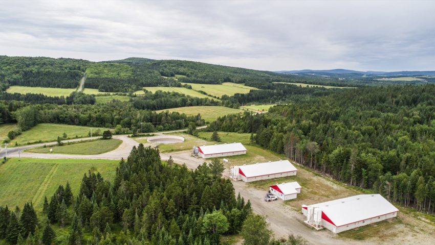 FERME G.E.C. (POUPONNIÈRES)