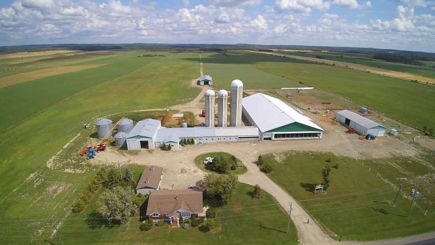 FERME TÉMISTAR INC.