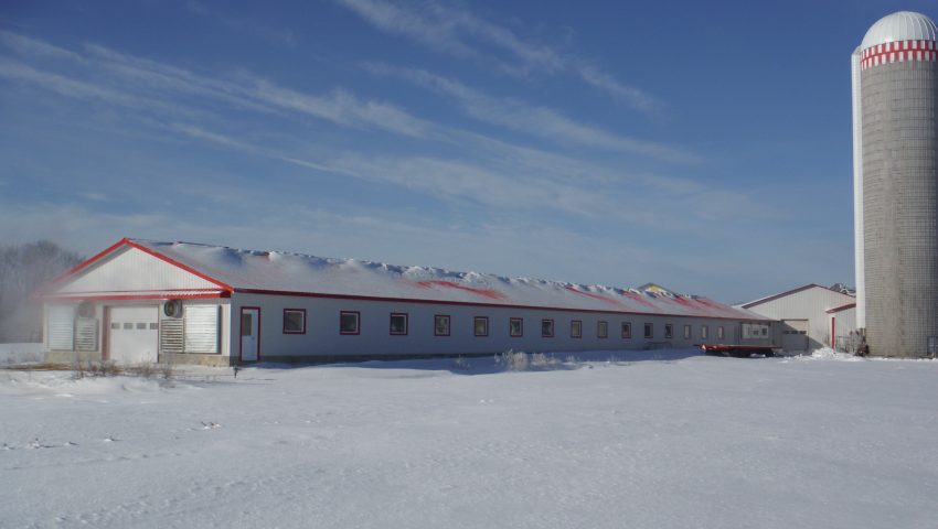 FERME NAUVILÈNE (2006) INC.