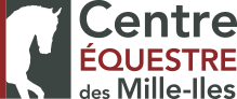 Logo-CEMI