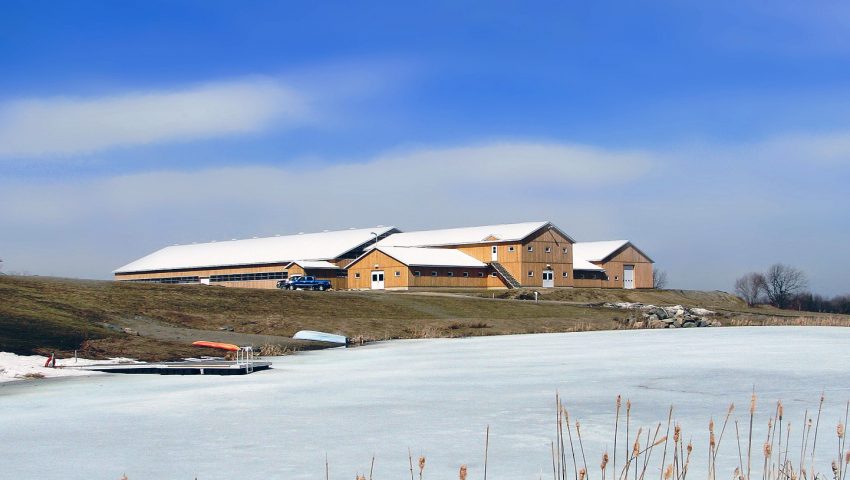 DE LYS DIVISION FARM OF BORÉALIS
