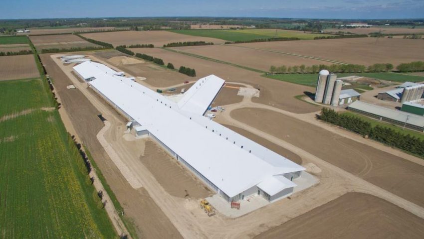 University of Guelph