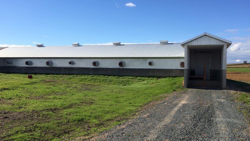 FERME STE-CLAIRE INC.