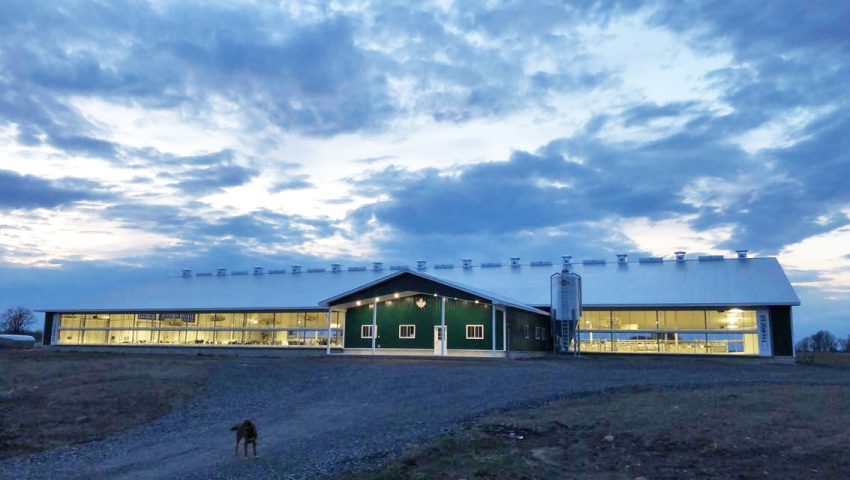 CRITESDALE FARM