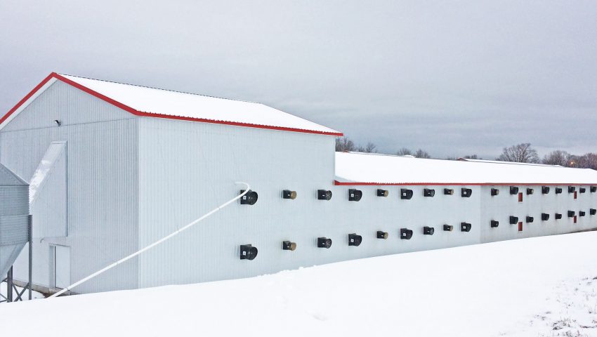 FERME AVICOLE ORLÉANS INC.