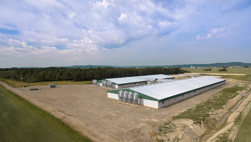 FERMES BORÉALES (OLYMEL) – MATERNITÉS