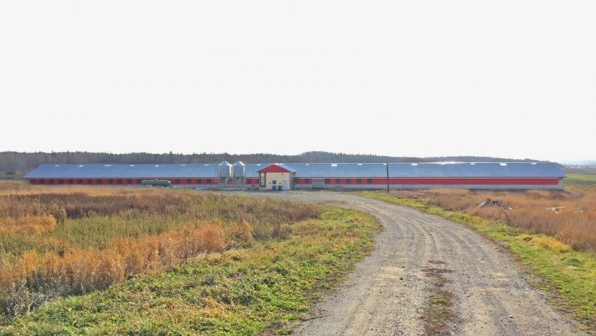 FERMES BORÉALES (OLYMEL) – QUARANTAINES