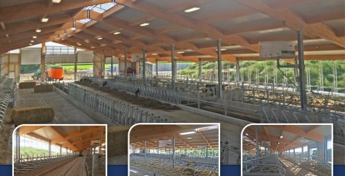 Open House – Kemmatten Farms