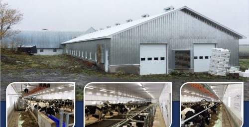 Journée portes ouvertes – Ferme Rayquatre inc.