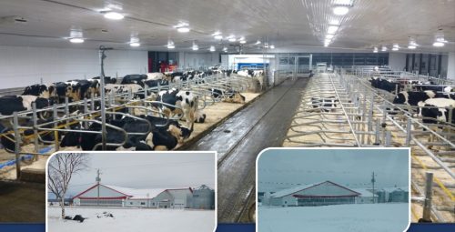 Journée portes ouvertes – Ferme Pauliga inc.